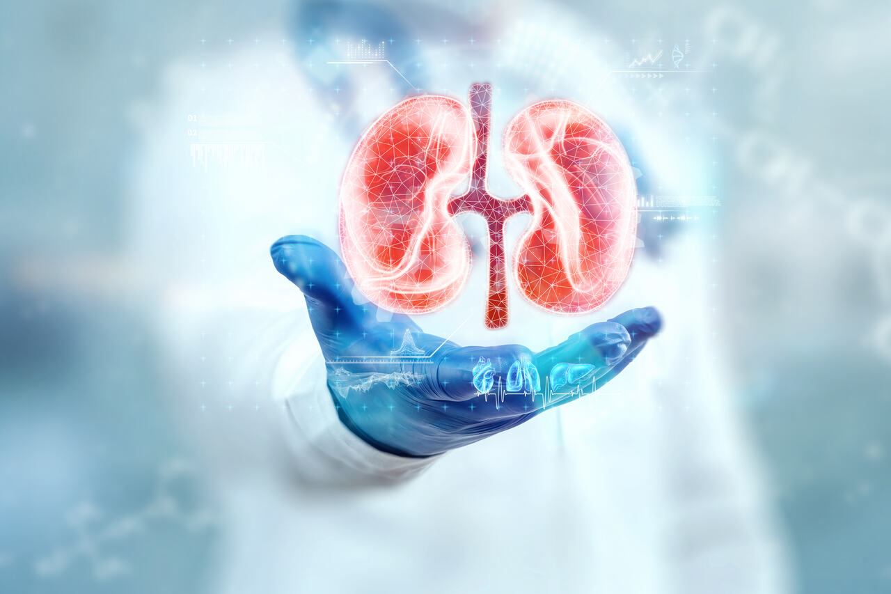 Calendário de Congressos de Urologia 2026: Guia completo por mês