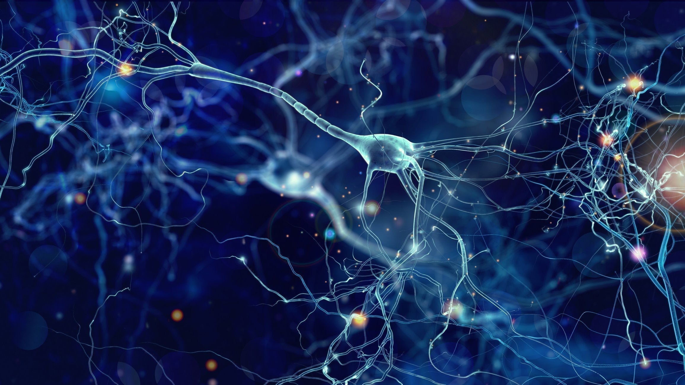 Calendário de Congressos de Neurologia 2026: Guia completo por mês
