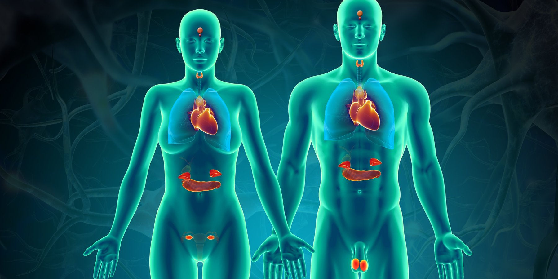 CID-10 • Capítulo IV: Doenças endócrinas, nutricionais e metabólicas (E00–E90)