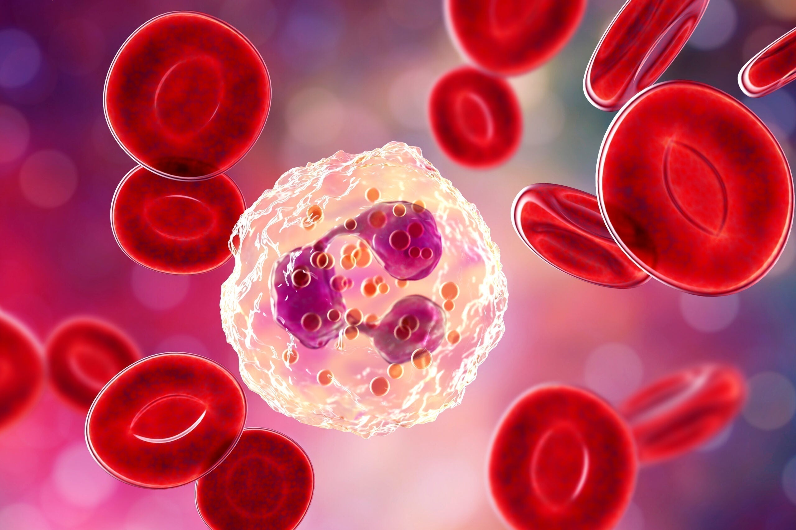 CID-10 • Capítulo III: Doenças do sangue e órgãos hematopoéticos e alguns transtornos imunitários (D50–D89)
