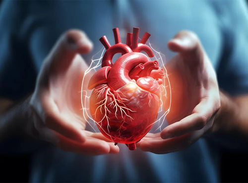 Congresso Brasileiro de Cardiologia 2026: datas, local e eventos da especialidade