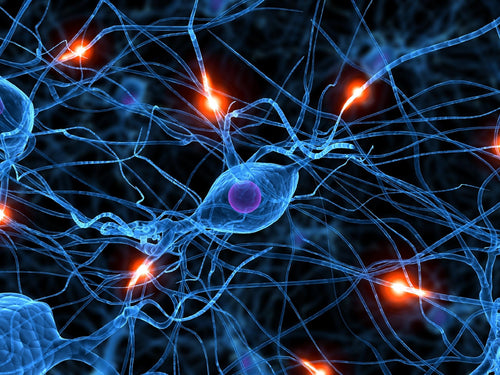 Congresso Brasileiro de Psiquiatria 2026: datas, local e eventos da especialidade