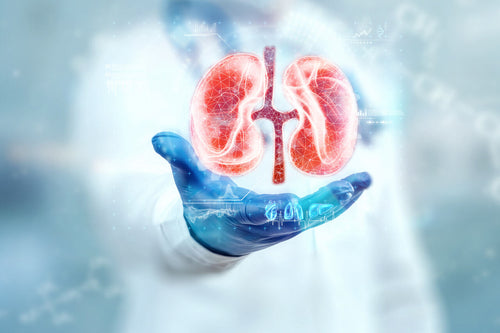 Calendário de Congressos de Urologia 2026: Guia completo por mês