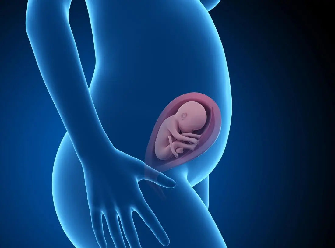 CID-10 • Capítulo XVI: Algumas afecções originadas no período perinatal (P00–P96)
