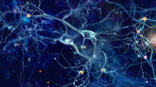 Calendário de Congressos de Neurologia 2026: Guia completo por mês