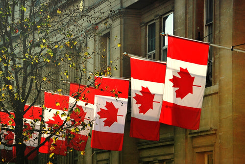 Residência Médica no Canadá | Guia completo para médicos brasileiros